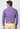 Men Blue Regular Fit Formal Shirt