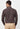 Men Brown Regular Fit Formal Shirt