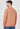 Brown Cotton T-Shirt