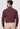 Men Red Regular Fit Formal Shirt