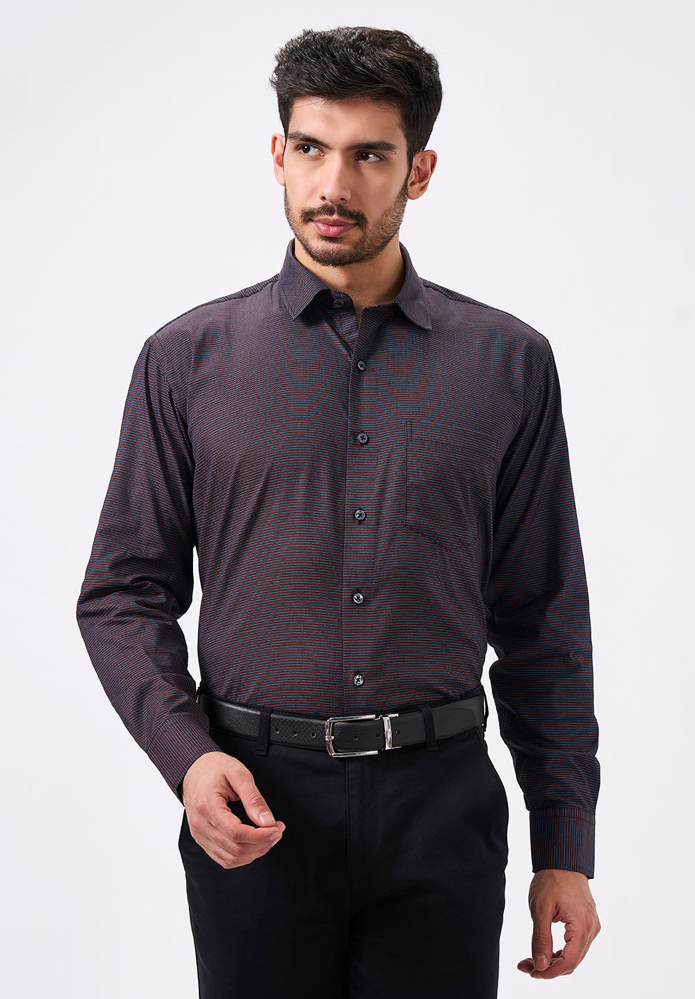 Men Purple Regular Fit Formal Shirt