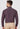 Men Purple Slim Fit Formal Shirt